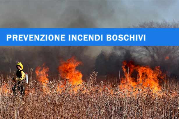 incendi boschivi
