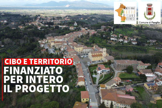 Fauglia e il territorio circostante in uno scatto dal drone