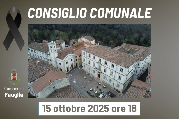 Il palazzo comunale dall'alto e la grafica con il simbolo del lutto