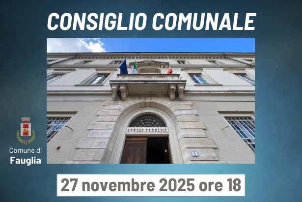 La grafica relativa alla riunione del Consiglio Comunale