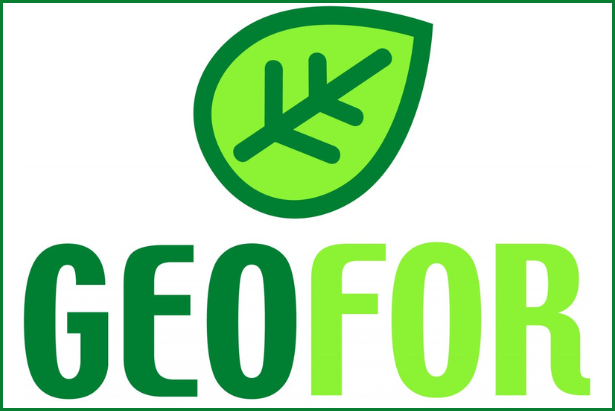 Il simbolo della Geofor