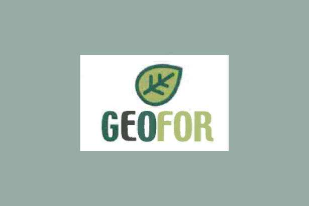 Il simbolo della Geofor