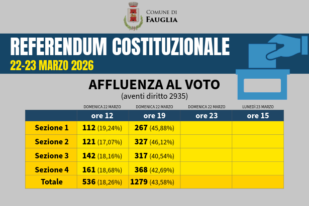 La grafica riassuntiva dell'affluenza al voto
