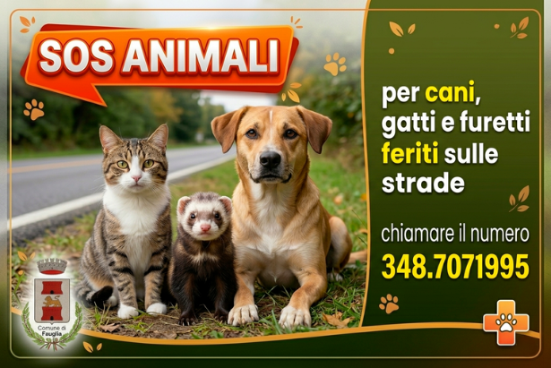 La grafica relativa al soccorso animali