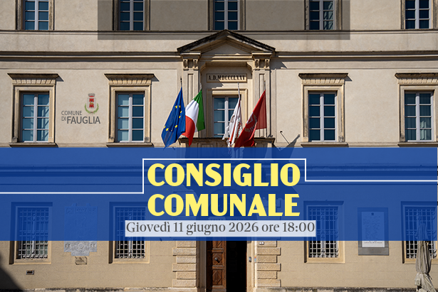 La grafica con cui si annuncia la riunione del Consiglio Comunale dell'11 giugno 2026