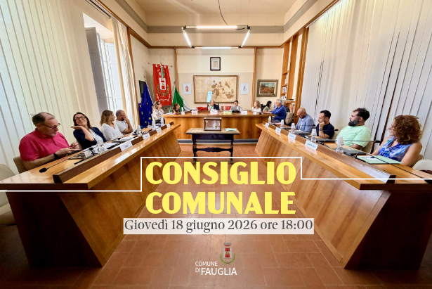 Il Consiglio comunale di Fauglia