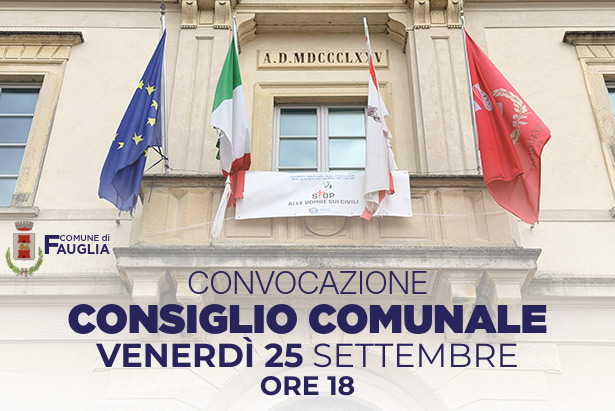 La grafica relativa alla convocazione del Consiglio Comunale
