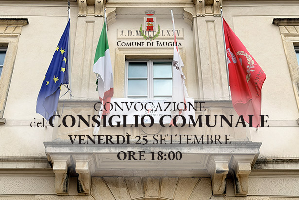 La grafica di convocazione del Consiglio Comunale. Sullo sfondo, un particolare del Palazzo Comunale