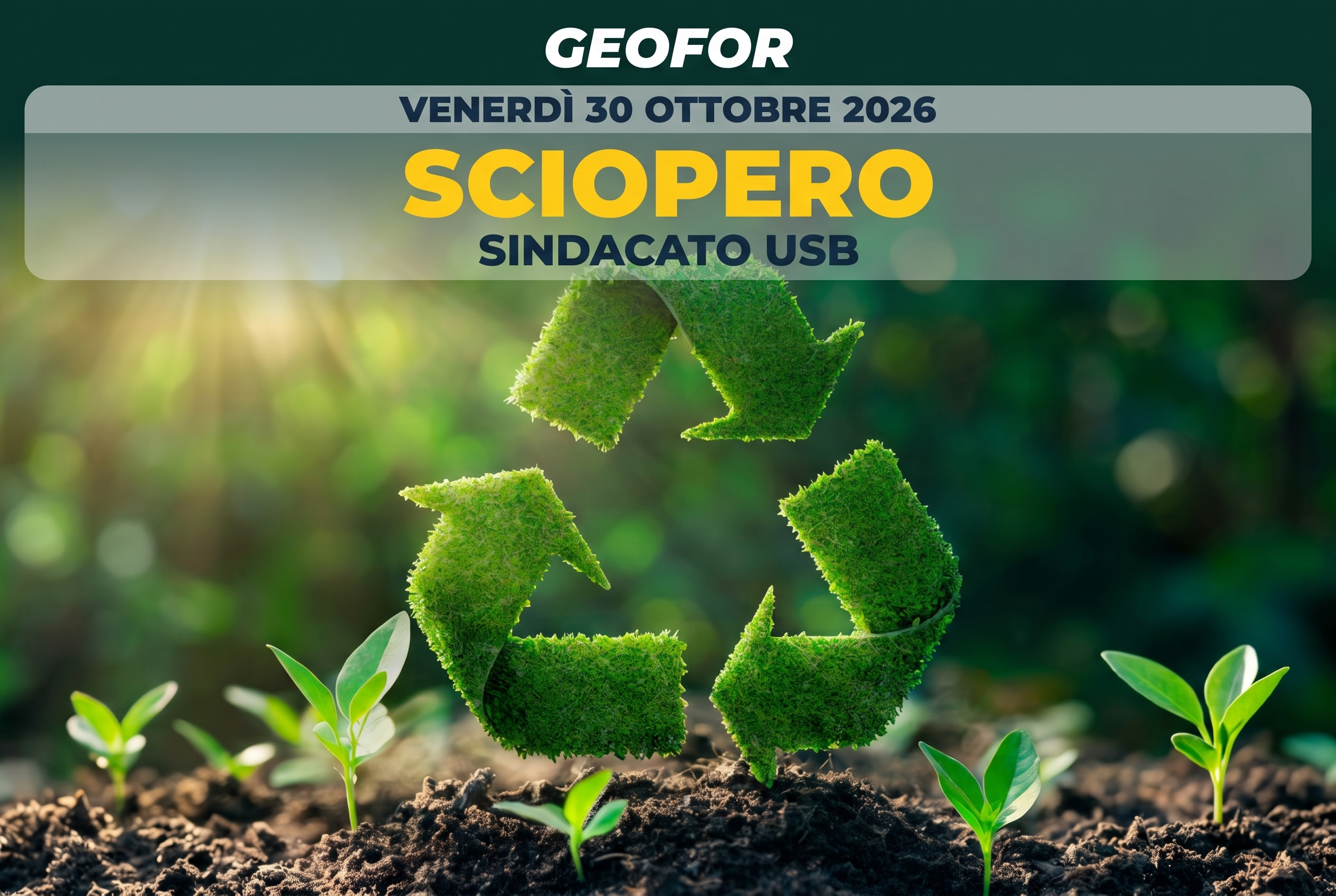 La grafica illustrativa dello sciopero del 30 ottobre